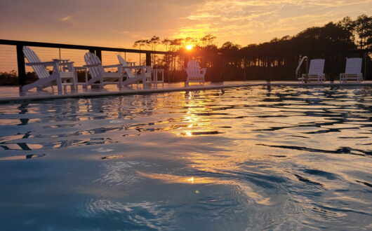 Beechland-Robert-Photo-pool-4