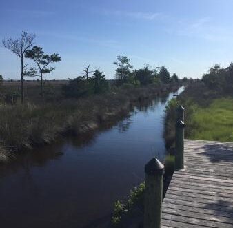 Refuge-Boardwalk-3