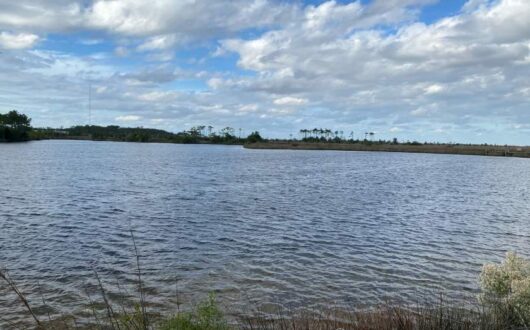 Refuge-Marsh-View